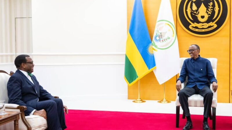 Perezida Kagame yakiriye Dr. Akinwumi Adesina wayoboye AfDB
