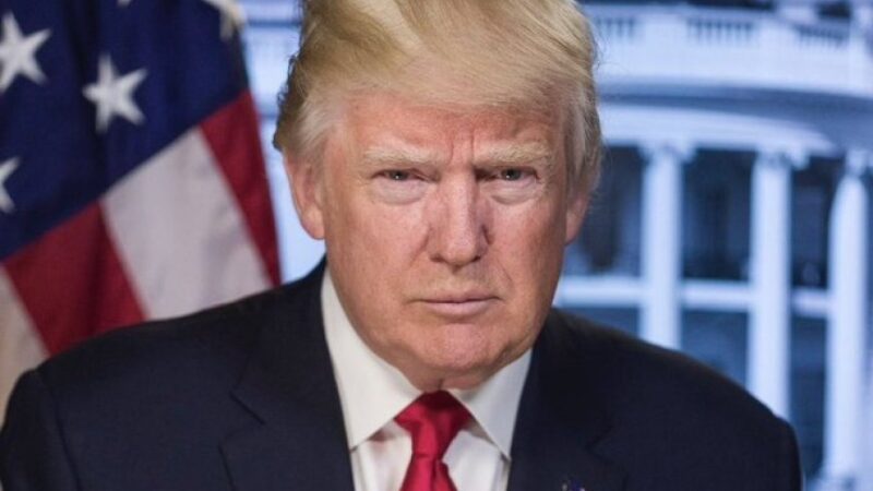 USA: Perezida Donald Trump yashyize ibihugu 12 mu bihano