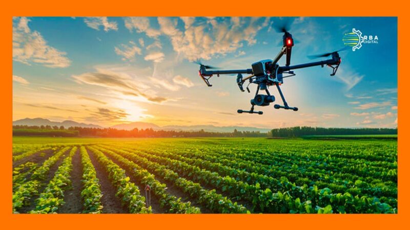 Urubyiruko ruri guhindura ubuhinzi rukoresheje ikoranabuhanga: Uko “Smart Farming” iri kuzamura icyizere cy’ejo hazaza